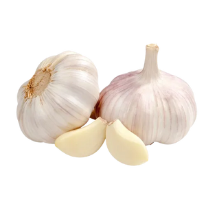 Garlic Extract