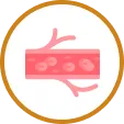 Feel the Benefits - Image 1
