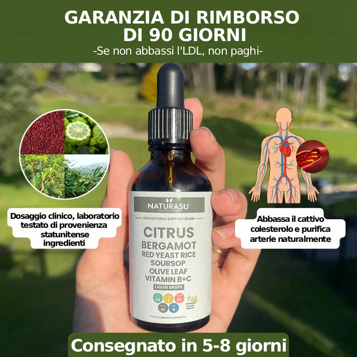 Naturasu - Riso rosso fermentato per la depurazione del colesterolo
