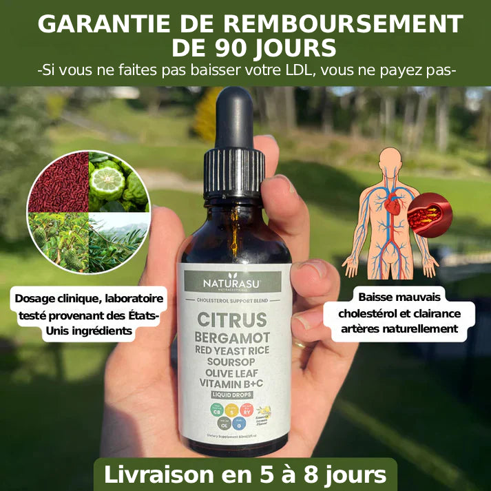 Naturasu - Riso rouge fermenté pour la dépuration du colestérol